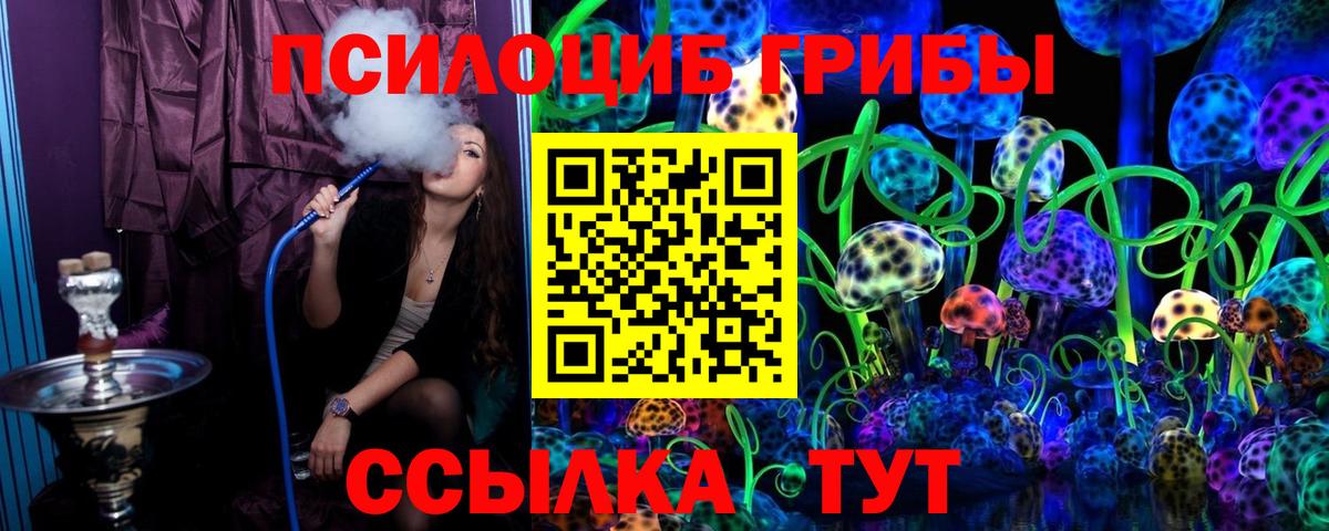 Псилоцибиновые грибы Psilocybine cubensis Саки