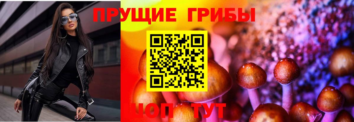 Псилоцибиновые грибы GOLDEN TEACHER  Галлюциногенные грибы мухоморы  Вход с VPN  Саки 